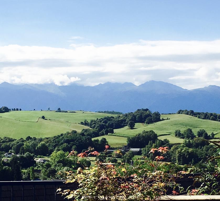 Les Gites De La Maison Bleue D'Estialescq 外观 照片