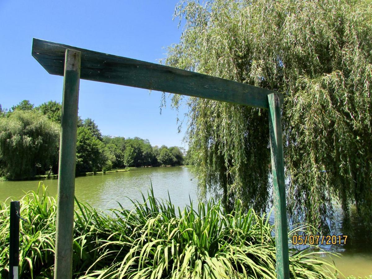 Les Gites De La Maison Bleue D'Estialescq 外观 照片